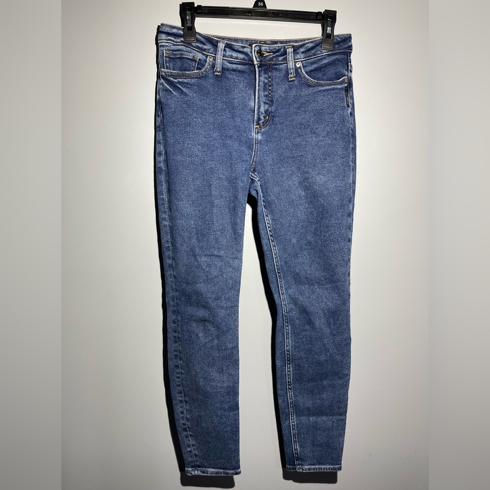 Silver Jeans Blue Skinny Jeans